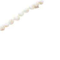Natural Freshwater Shell Beads, DIY Approx 14.96 Inch 
