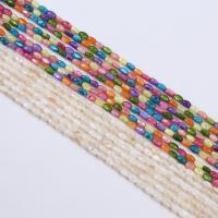 Dyed Shell Beads, Oval, DIY Approx 38 cm 