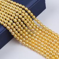 Rice Cultured Freshwater Pearl Beads, DIY, golden, 7-8mm Approx 38 cm 