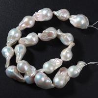 Perles nacres baroques de culture d'eau douce , perle d'eau douce cultivée, DIY, 14-18mm Environ 15.75 pouce, Vendu par brin