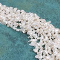 Keshi Cultured Freshwater Pearl Beads, petals, DIY, white, 11-12x6-8mm Approx 38 cm 