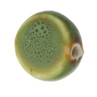 Gesprenkelte Porzellan Perlen, flache Runde, DIY, grün, 16x15x7mm, Bohrung:ca. 2mm, verkauft von PC