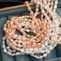Keshi Cultured Freshwater Pearl Beads, irregular, DIY 5-6mm, Approx 