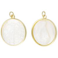 Brass Shell Pendants, with Shell, Flat Round, gold color plated white Approx 2mm 