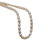Natural Freshwater Pearl Necklace, with Titanium Steel, with 2.76inch extender chain, fashion jewelry & for woman Approx 13.39 Inch 