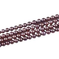 Edison Pearl Beads, Round, DIY, purple, 11-13mm Approx 38 cm 