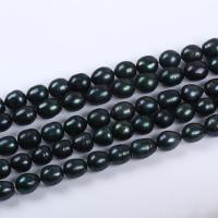 Perles d'eau douce de culture de riz, perle, DIY, vert malachite, 12-13mm Environ 38 cm, Vendu par brin