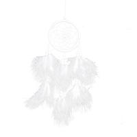 Fashion Dream Catcher, Plastic, with Feather, hanging, white 