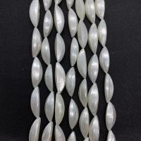 La Perla de Concha Natural, Concha de agua dulce, Bricolaje, Blanco, 12x30mm, longitud:aproximado 38 cm, Vendido por Sarta