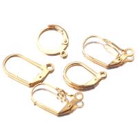 Stainless Steel Lever Back Earring Component, 304 Stainless Steel, Galvanic plating, DIY 