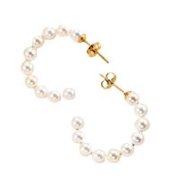 Ohrring aus Kunststoff, Titanstahl, mit Kunststoff Perlen, plattiert, für Frau, keine, 25x30mm, verkauft von Paar