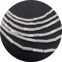 Weiße Lippenschale Perlen, Zylinder, DIY & verschiedene Größen vorhanden, weiß, Länge:ca. 14.96 ZollInch, verkauft von Strang