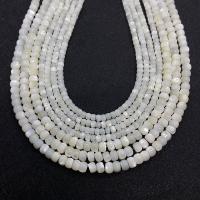 Perles de coquillages blancs, Lèvre blanche, abaque, DIY & normes différentes pour le choix, blanc Environ 14.96 pouce, Vendu par brin