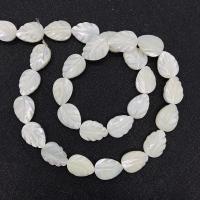 Weiße Lippenschale Perlen, Blatt, DIY & verschiedene Größen vorhanden, weiß, Länge:ca. 14.96 ZollInch, verkauft von Strang