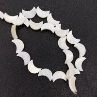 Natural Freshwater Shell Beads, Moon, DIY white Approx 14.96 Inch 