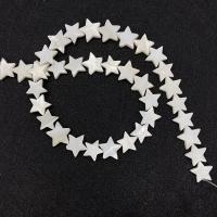 Natural Freshwater Shell Beads, Star, DIY white Approx 14.96 Inch 