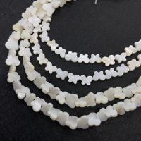 Perles en coquille naturel, coquille d'eau douce, papillon, DIY & styles différents pour le choix, blanc Environ 14.96 pouce, Vendu par brin