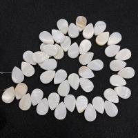 Natural Freshwater Shell Beads, Teardrop, DIY & top drilled, white Approx 14.96 Inch 