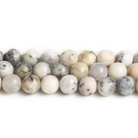 Opal Beads, White Opal, Round, polished, DIY white Approx 14.96 Inch 