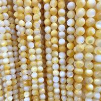 Perles de coquillage jaune naturel, Lèvres jaunes, Rond, poli, DIY & normes différentes pour le choix, Jaune Environ 14.96 pouce, Vendu par brin