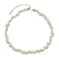 Natural Freshwater Pearl Necklace, Zinc Alloy, with Freshwater Pearl, gold color plated, fashion jewelry & for woman, white cm 