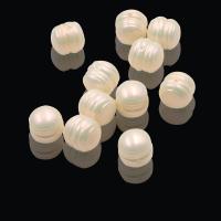 ABS-Kunststoff -Perlen-Korn, ABS-Kunststoff-Perlen, DIY, beige, ca. 750PCs/Tasche, verkauft von Tasche
