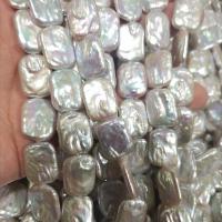 Barock kultivierten Süßwassersee Perlen, Natürliche kultivierte Süßwasserperlen, DIY, 14x18mm, Länge:ca. 15 ZollInch, verkauft von Strang