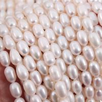 Rice Cultured Freshwater Pearl Beads, DIY, white, 6mm Approx 15 Inch 