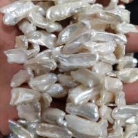 Perles nacres baroques de culture d'eau douce , perle d'eau douce cultivée, DIY, blanc Environ 15 pouce, Vendu par brin