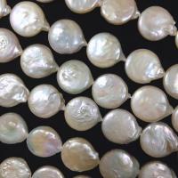 Barock kultivierten Süßwassersee Perlen, Natürliche kultivierte Süßwasserperlen, DIY, weiß, 18-19mm, Länge:ca. 15 ZollInch, verkauft von Strang