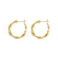 Brass Hoop Earring, with Zinc Alloy, gold color plated, fashion jewelry & for woman 3cmu30014CM 