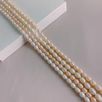 Rice Cultured Freshwater Pearl Beads, DIY Approx 15.35 Inch 