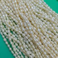 Rice Cultured Freshwater Pearl Beads, DIY, white, 4-5mm Approx 34-36 cm 