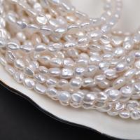 Barock kultivierten Süßwassersee Perlen, Natürliche kultivierte Süßwasserperlen, DIY, weiß, 4-5mm, Länge:ca. 36 cm, verkauft von Strang