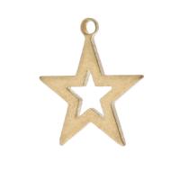 Brass Star Pendants, laiton, étoile, Placage, unisexe & creux, plus de couleurs à choisir Environ 1mm, Environ Vendu par sac