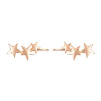 Zinc Alloy Stud Earring, Star, plated, fashion jewelry & for woman 25mm 
