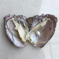 Oyster & Wish Pearl Kit, Muschel, Wish Pearl Oyster & Halskette, mit Messing, platiniert, Natürliche & 2 Stück & DIY, zwei verschiedenfarbige, 5-6mm, Länge:17 ZollInch, verkauft von setzen