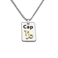 Stainless Steel Jewelry Necklace, 304 Stainless Steel, Rectangle, Vacuum Plating, Zodiac symbols jewelry & Unisex Approx 50 cm 