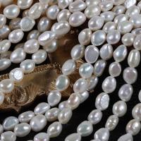 Perles nacres baroques de culture d'eau douce , perle d'eau douce cultivée, DIY, blanc Environ 0.7mm cm, Vendu par PC