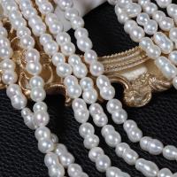 Keshi Cultured Freshwater Pearl Beads, Calabash, DIY, white, 12-14mmu30017-8mm Approx 0.7mm cm 
