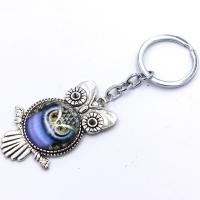 Zinc Alloy Key Chain Jewelry, with Glass, Owl, silver color plated, random style & Unisex, mixed colors .5 cm 