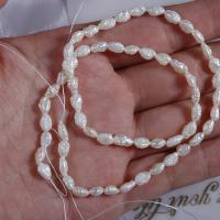 Baroque Cultured Freshwater Pearl Beads, irregular, DIY, white, 3.5mm Approx 0.7mm cm 