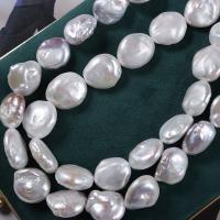 Barock kultivierten Süßwassersee Perlen, Natürliche kultivierte Süßwasserperlen, DIY, keine, 18-19mm, Länge:39 cm, verkauft von PC