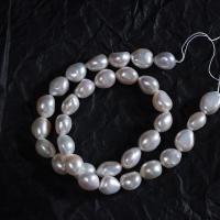 Barock kultivierten Süßwassersee Perlen, Natürliche kultivierte Süßwasserperlen, DIY, 10-11mm, Länge:37 cm, verkauft von PC