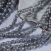Rice Cultured Freshwater Pearl Beads, DIY, grey, 6mm Approx 0.7mm cm 