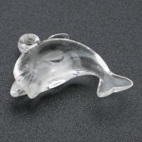 Transparent Acrylic Pendants, Dolphin, DIY, clear Approx 2mm 