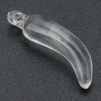 半透明のアクリル ペンダント, アクリル, トウガラシ, DIY, 透明色（例えばガラス） 穴:約 1mm, 売り手 バッグ