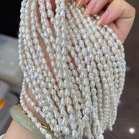 Perlas Patata Freshwater, Perlas cultivadas de agua dulce, Bricolaje, Blanco, 4-5mm, longitud:aproximado 15 Inch, Vendido por Sarta