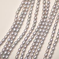 Rice Cultured Freshwater Pearl Beads, DIY, grey, 6mm cm 
