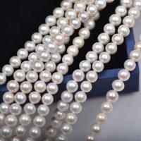Round Cultured Freshwater Pearl Beads, DIY, white, 6mm cm 